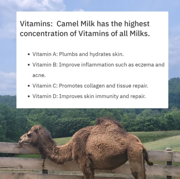 LIMITED QUANTITY Super Beauty Food Camel's Milk Soap - Picture 7 of 14